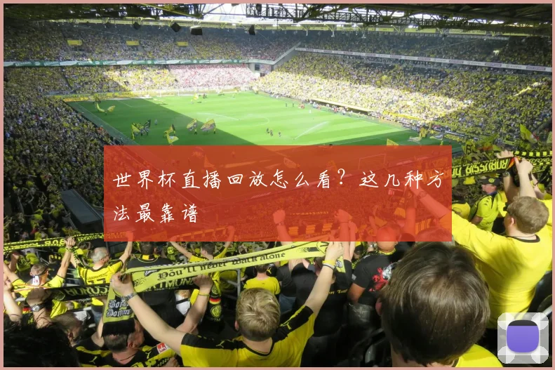 世界杯直播回放怎么看?这几种方法最靠谱