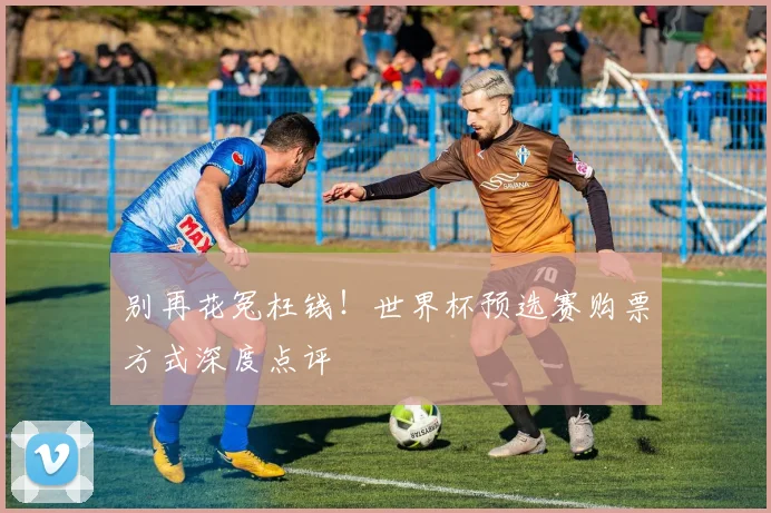 别再花冤枉钱！世界杯预选赛购票方式深度点评