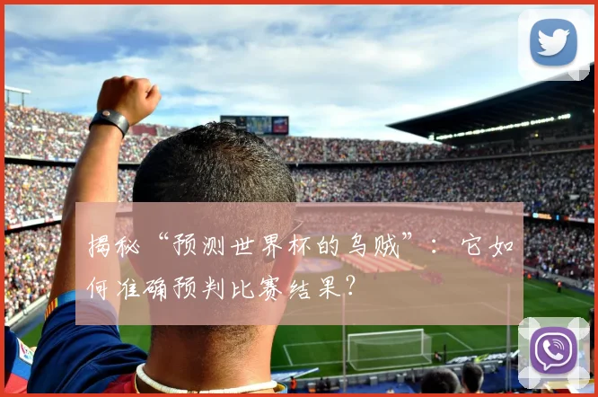 揭秘“预测世界杯的乌贼”：它如何准确预判比赛结果？