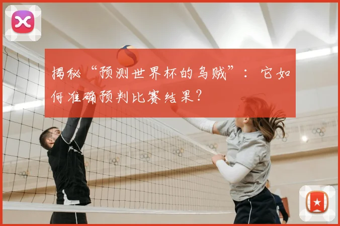 揭秘“预测世界杯的乌贼”：它如何准确预判比赛结果？