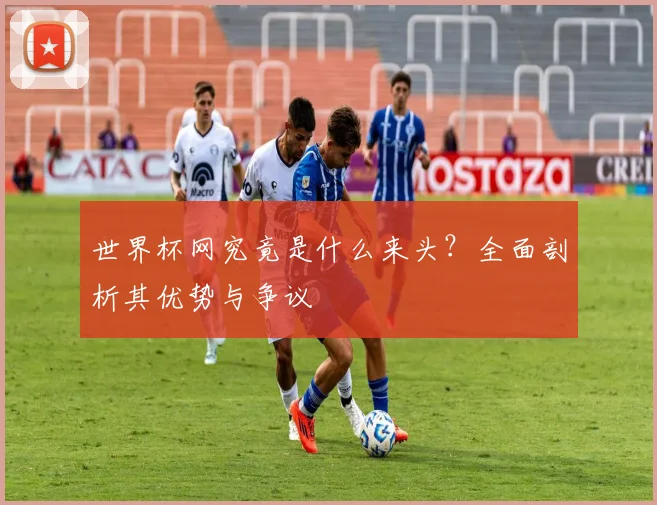 世界杯网究竟是什么来头？全面剖析其优势与争议