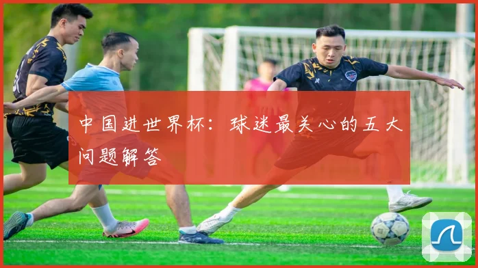 中国进世界杯：球迷最关心的五大问题解答