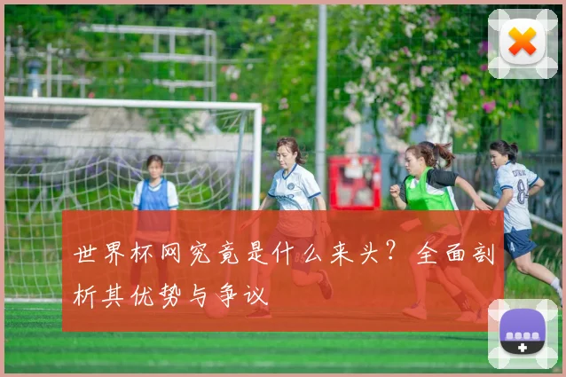 世界杯网究竟是什么来头？全面剖析其优势与争议