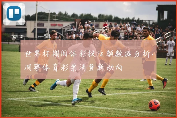 世界杯期间体彩投注额数据分析，洞察体育彩票消费新动向