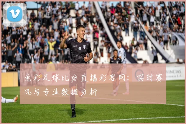 竞彩足球比分直播彩客网：实时赛况与专业数据分析